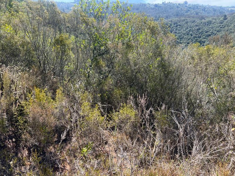 0 Bedroom Property for Sale in Ballots Bay Western Cape